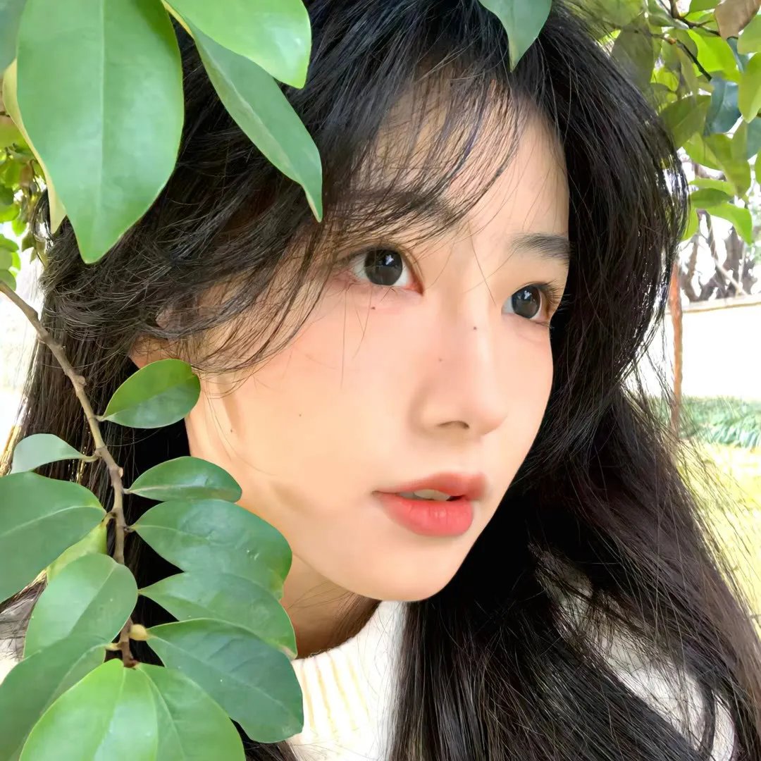 名媛望族粤语